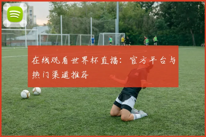 在线观看世界杯直播：官方平台与热门渠道推荐