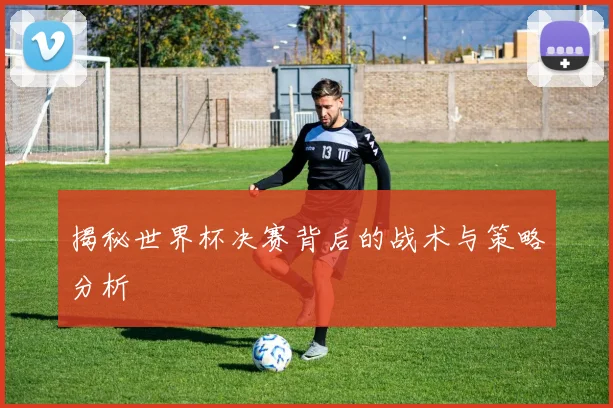 揭秘世界杯决赛背后的战术与策略分析